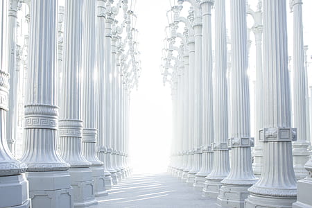 white pillars photo