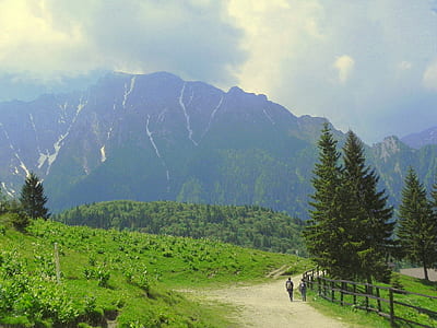 2 Person Walking Beside Grass Field Near Mountain