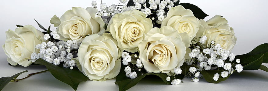 white roses and baby's-breath flower bouquet