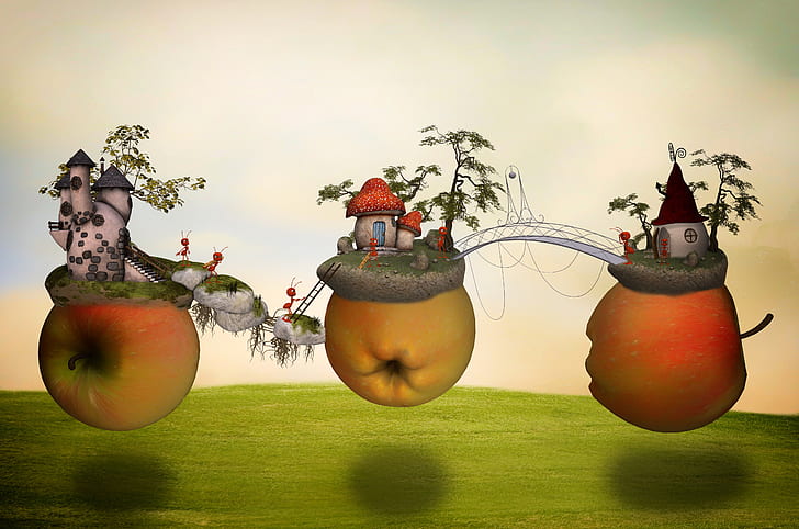 three apples house illustration