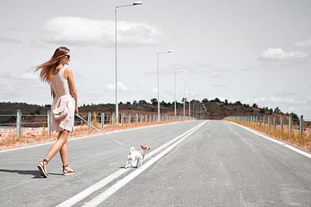 photo of woman wearing pink dress holding white dog leash
