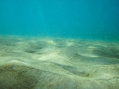 underwater photograph