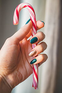 Person Showing White and Red Candy Cane
