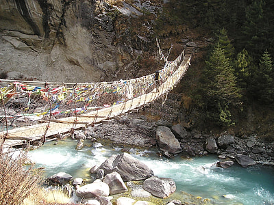 photo of brown hanging bridge