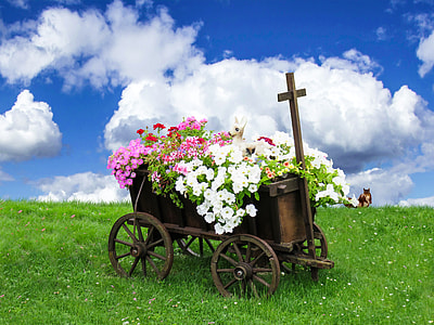 photo of white, pink, and red petaled flowers in wagon surrounded by green grass during daytime